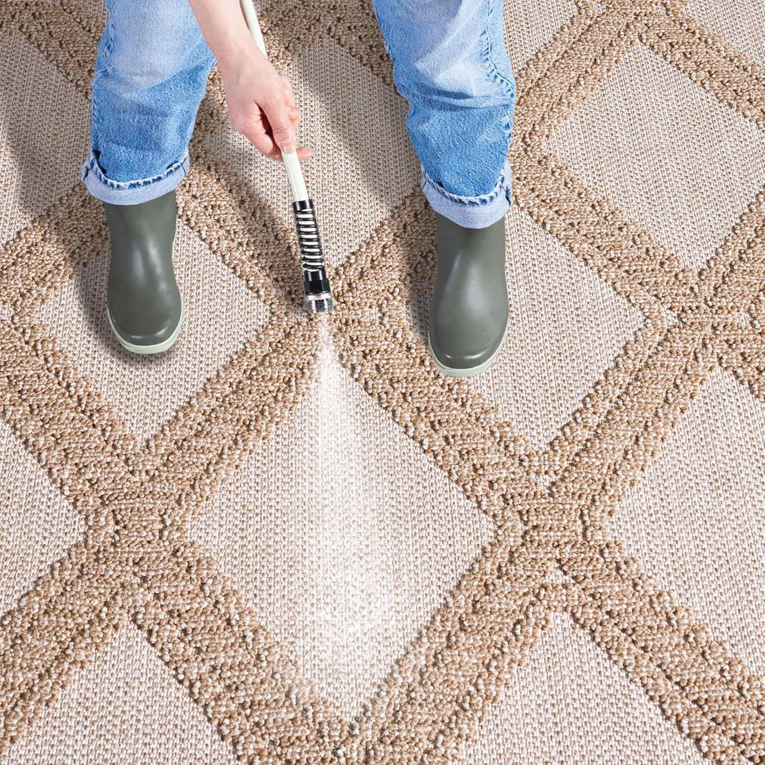 imageMartha Stewart x SAFAVIEH Outdoor Area Rug Collection 8 x 10 Grey ampamp Light Grey Weather Resistant ampamp Washable Ideal for Patio Backyard Mudroom Deck Dining Space MSRO226FBeigeBrown