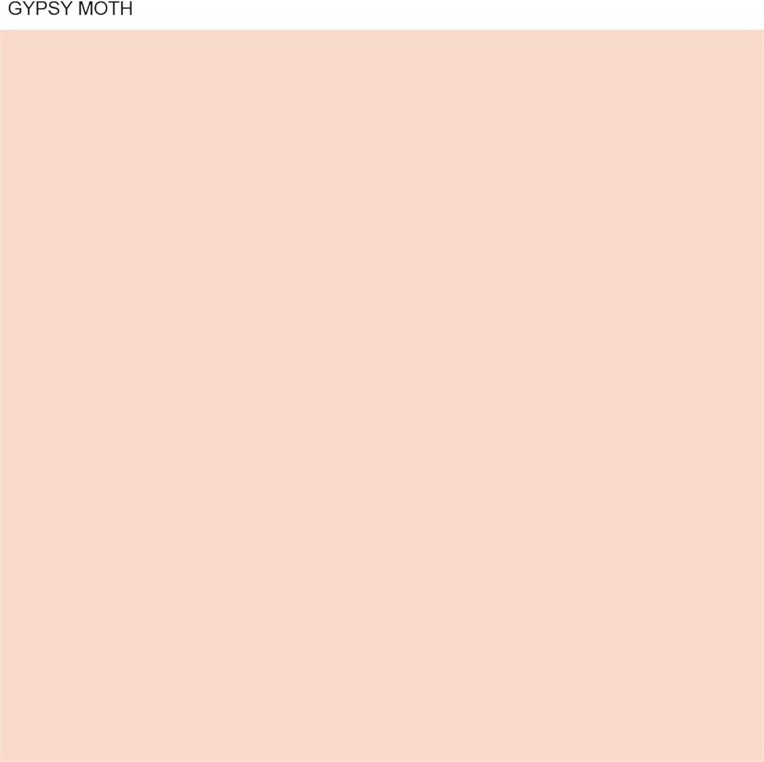 imageMartha by Martha Stewart Interior Paint Eurolux Universal Primer 10L Gypsy Moth PinkGypsy Moth Pink