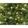 Martha Stewart Acadia Spruce Green Tree with 200 LED Lights, 5 Feet Tall
