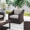 Martha Stewart Bedford Indoor-Outdoor Patio Accent Chair with Rattan Wicker Finish in Brown with Tan All-Weather Cushions(Tan Cushions/Brown Frame)