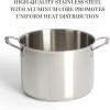 Martha Stewart Castelle 8-Quart 18/8 Stainless Steel Induction Safe Stock Pot w/Lid