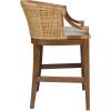 Martha Stewart Farmhouse Counter Height Bar Stools, Handcrafted Rattan Counter Height Stools, Kickplate Footrest for Kitchen Island, Upholstered, Dining Room Chairs Furniture, Home Bar – Natural Playa(Natural)
