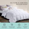 Martha Stewart Goose Feather and Down Fiber Comforter Queen Size – Luxurious Hotel Duvet Insert Bedding Comforters 100% Cotton All Season Medium Warmth 90 x 90 Inch(White)(Twin)