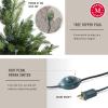 Martha Stewart Natural Pine – 7.5′ MU Pre-Lit Artificial Christmas Tree, Feet, Multicolored Lights(Clear White Lights)