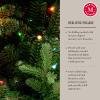 Martha Stewart Natural Pine – 7.5′ MU Pre-Lit Artificial Christmas Tree, Feet, Multicolored Lights(Multicolored Lights)