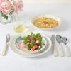 Martha Stewart Peony 12 Piece Porcelain Floral Chip and Scratch Resistant Dinnerware Set(Peony)