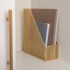 Martha Stewart Ryder Gold Mesh Metal Single Slot Magazine File Holder, Desktop Organizer, 9.75 x 3.75 x 11.5