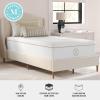 Martha Stewart SleepComplete Queen Mattress in a Box, Medium-Plush Dual-Action Cooling Gel Memory Foam Mattress, Removable Coolweave Jacquard Cover, 12″, White(White)