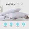 Martha Stewart Tencel Lyocell/Cotton Blend White Feather Down Pillow Medium Firm-2 Pack-King Size Bed Pillow, 2 Count(King)