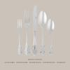 Martha Stewart Watercliffe 16 pc Flatware Set Stainless Steel w/ABS Handle – Warm Grey(Perrine (Mirror Polish))