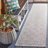 Martha Stewart x SAFAVIEH Outdoor Area Rug Collection – 8′ x 10′, Grey & Ivory, Weather Resistant & Washable, Ideal for Patio, Backyard, Mudroom, Deck, Dining Space (MSR4491F)(Grey/Ivory)