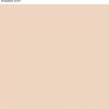 Martha by Martha Stewart Interior Paint, Eurolux Universal Primer 1.0L Gypsy Moth Pink(Powder Puff Pink)