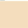 Martha by Martha Stewart Interior Paint, Eurolux Universal Primer 1.0L Gypsy Moth Pink(Ursa Major Yellow)