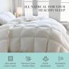 White Feather and Down Comforter Queen Size – Luxury All Season with 100% Cotton Fabric Duvet Insert with 4 Corner Loops – 240 Thread Count Hotel Comforter Bedding for Year-Around 90″ x 90″(White)
