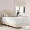 Martha Stewart SleepComplete Queen Mattress in a Box, Medium-Plush Dual-Action Cooling Gel Memory Foam Mattress, Removable Coolweave Jacquard Cover, 12″, White(White)