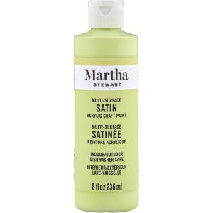 Martha Stewart Satin Acrylic Craft Paint, Wild Salmon, 8 oz(Scallion)